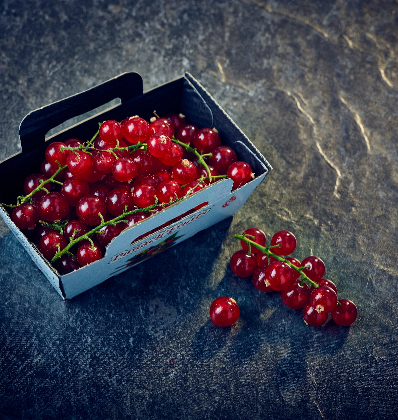 red currants