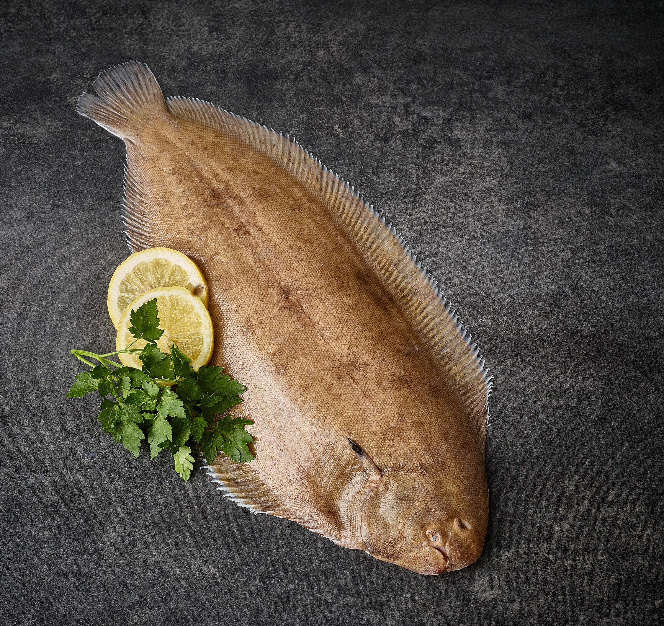 M&J Fresh Seafood (1)